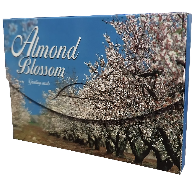 Almond Blossom Note Cards